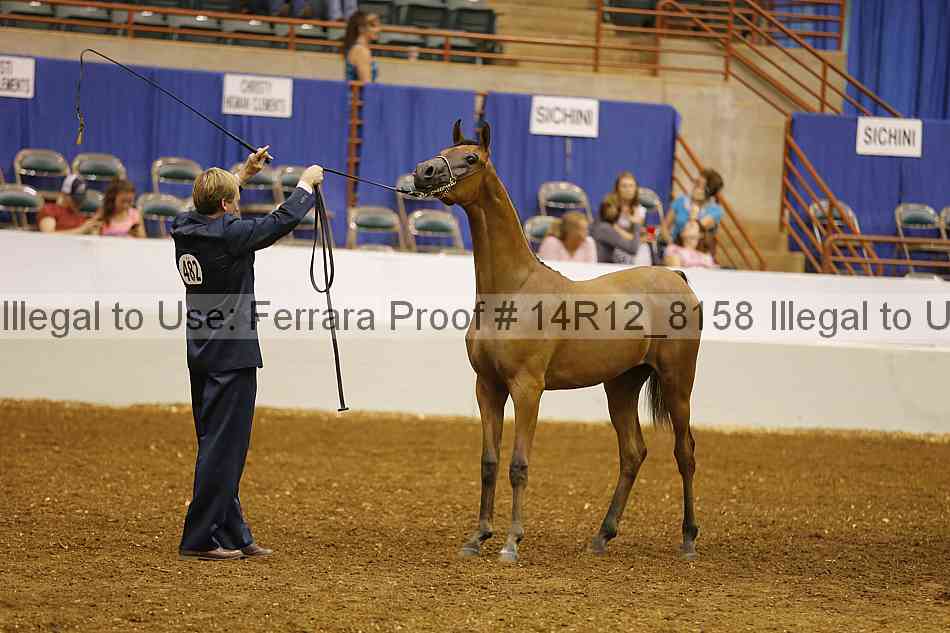 Proof Number 14r12_8158