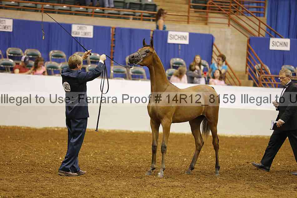 Proof Number 14r12_8159