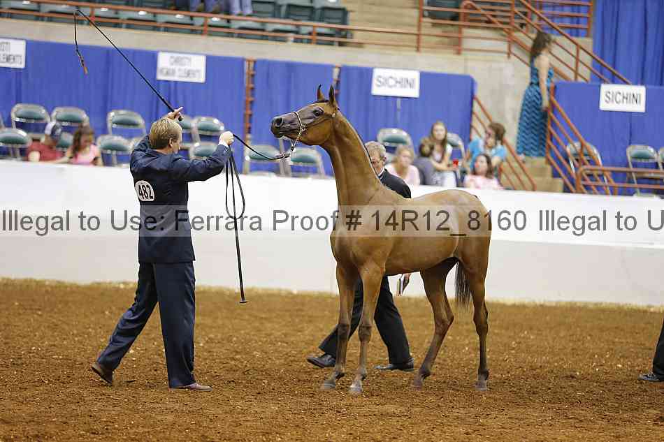 Proof Number 14r12_8160