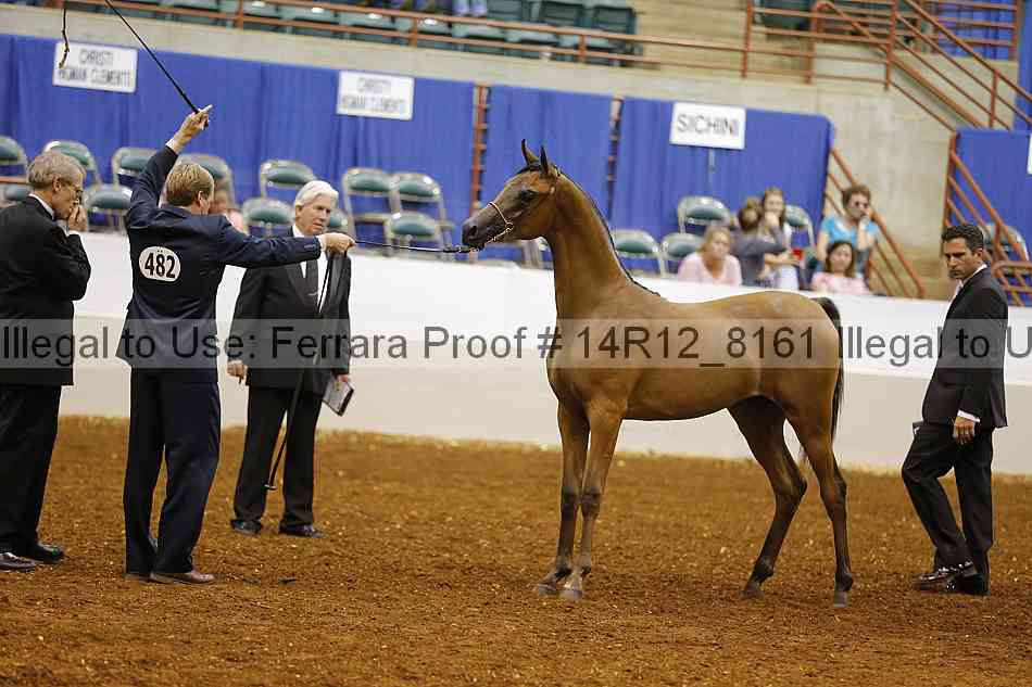 Proof Number 14r12_8161