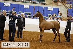 14r12_8161 thumbnail