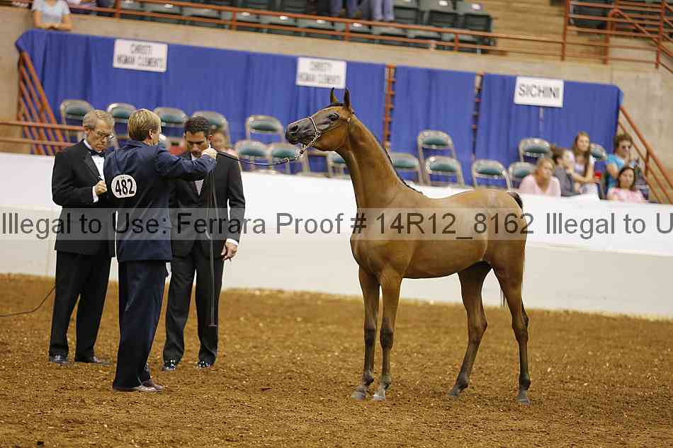Proof Number 14r12_8162