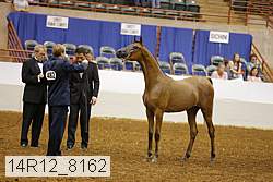 14r12_8162 thumbnail