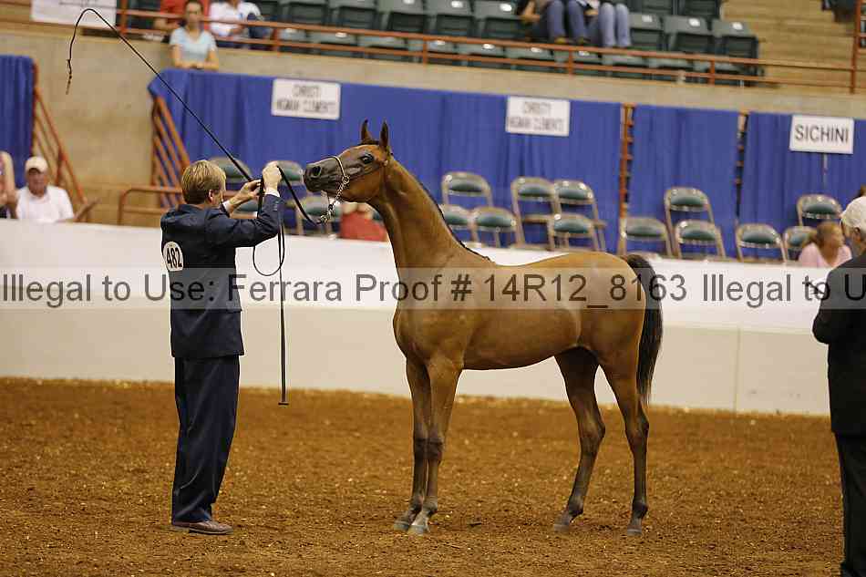 Proof Number 14r12_8163