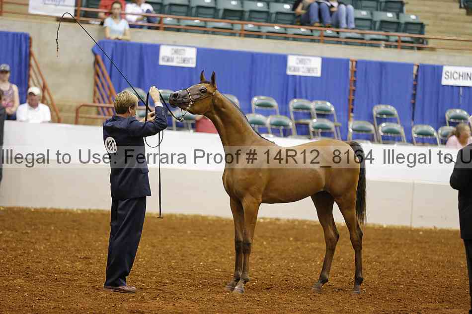 Proof Number 14r12_8164