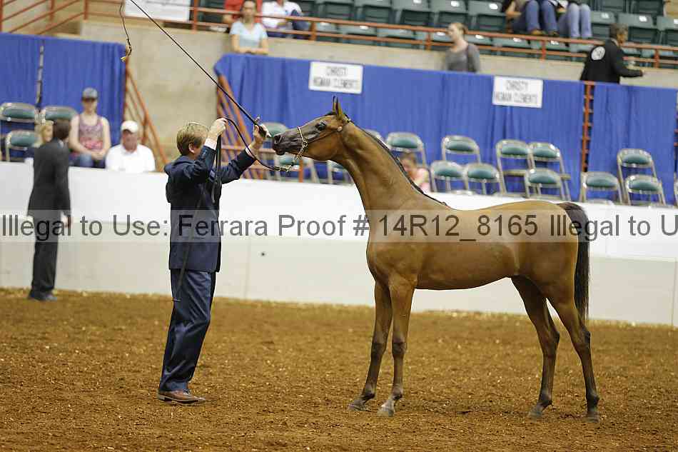 Proof Number 14r12_8165