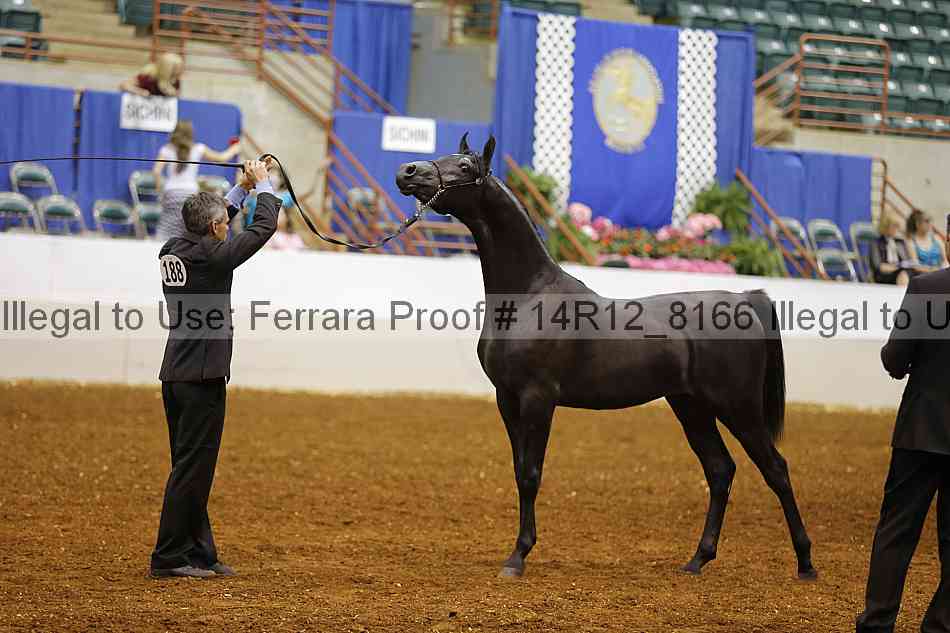 Proof Number 14r12_8166
