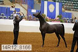 14r12_8166 thumbnail