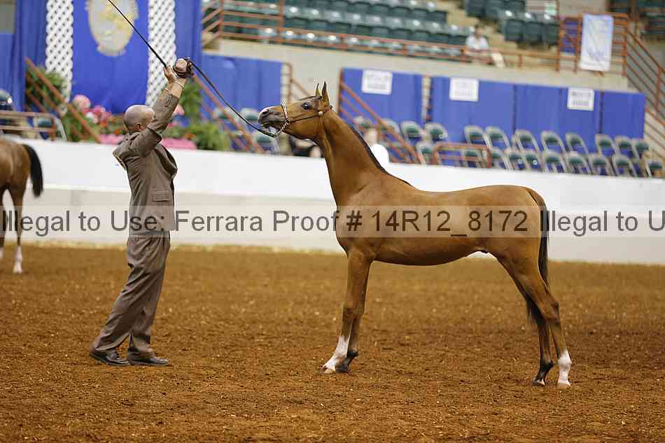 Proof Number 14r12_8172