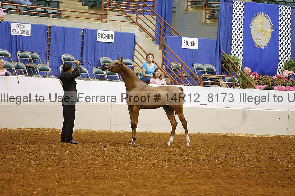 Proof Number 14r12_8173