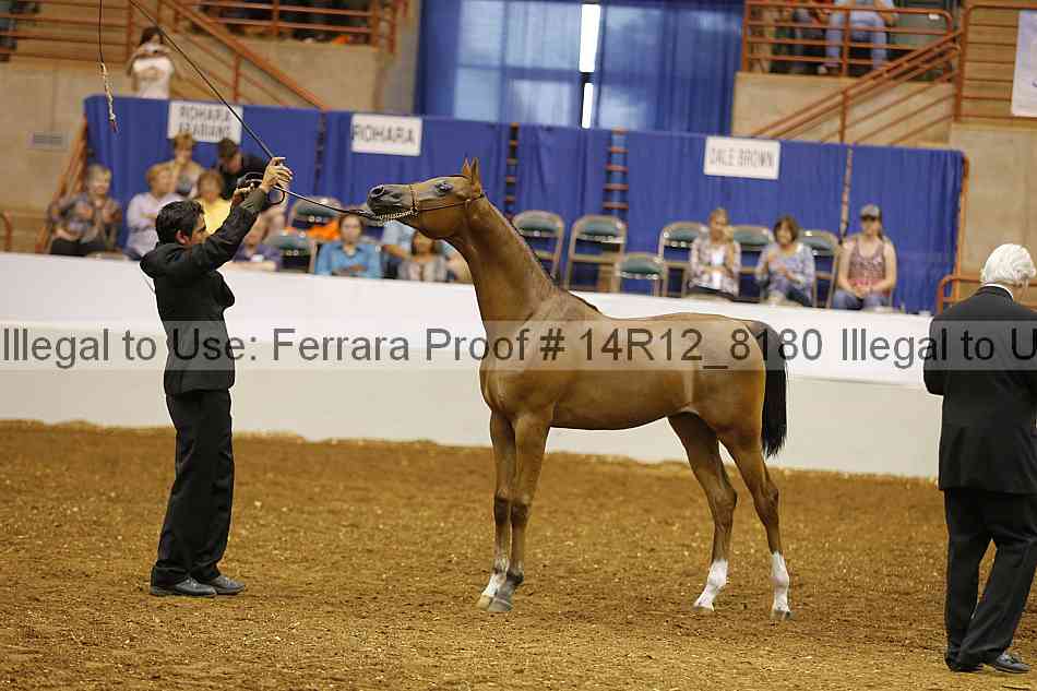 Proof Number 14r12_8180