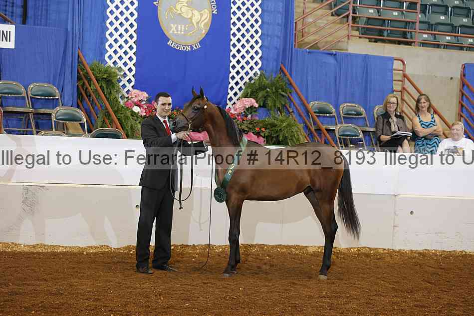Proof Number 14r12_8193