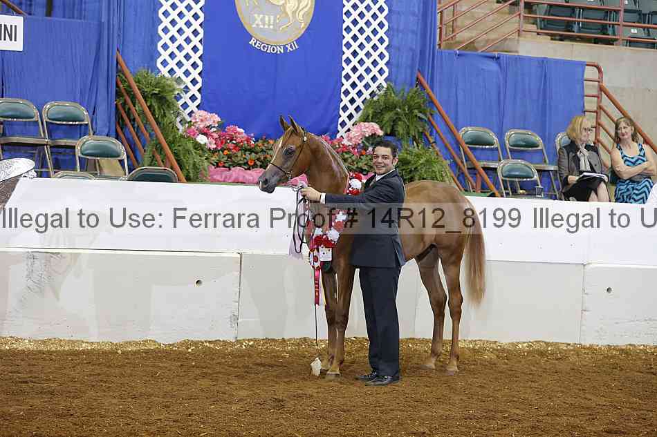 Proof Number 14r12_8199