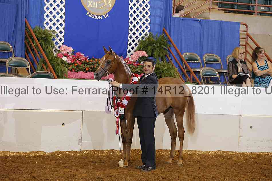 Proof Number 14r12_8201