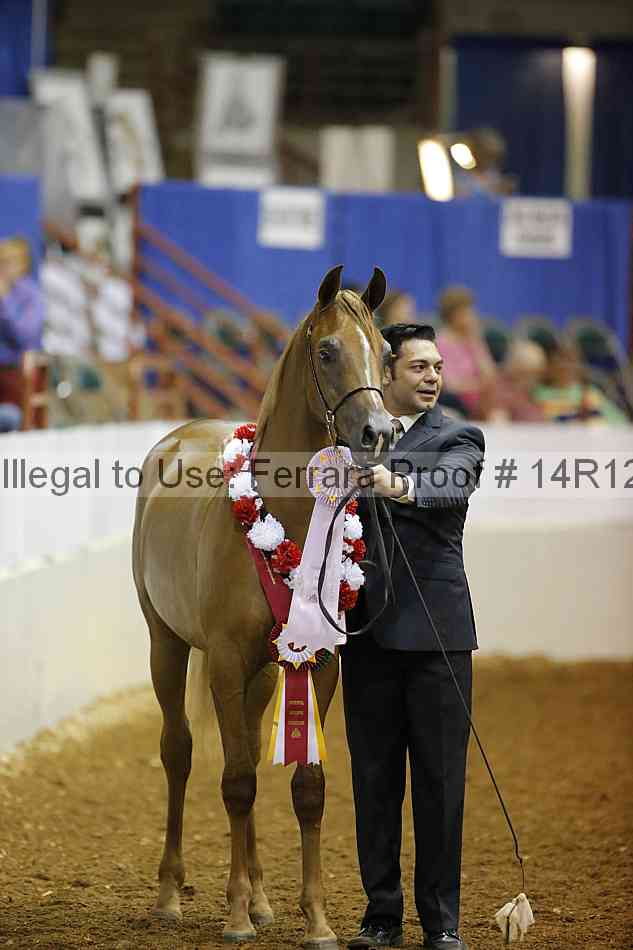 Proof Number 14r12_8204