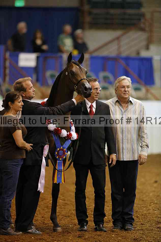 Proof Number 14r12_8210