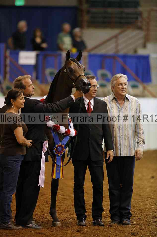 Proof Number 14r12_8211