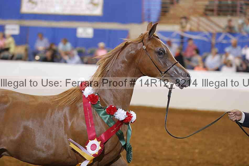 Proof Number 14r12_8214