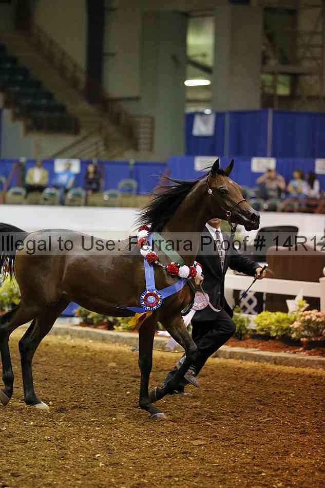 Proof Number 14r12_8216