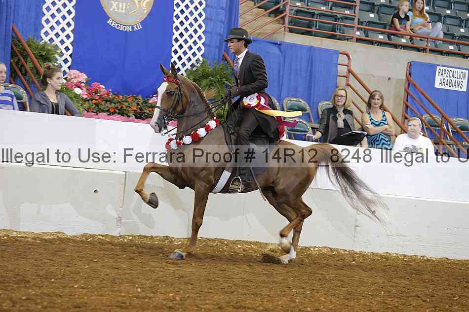 Proof Number 14r12_8248