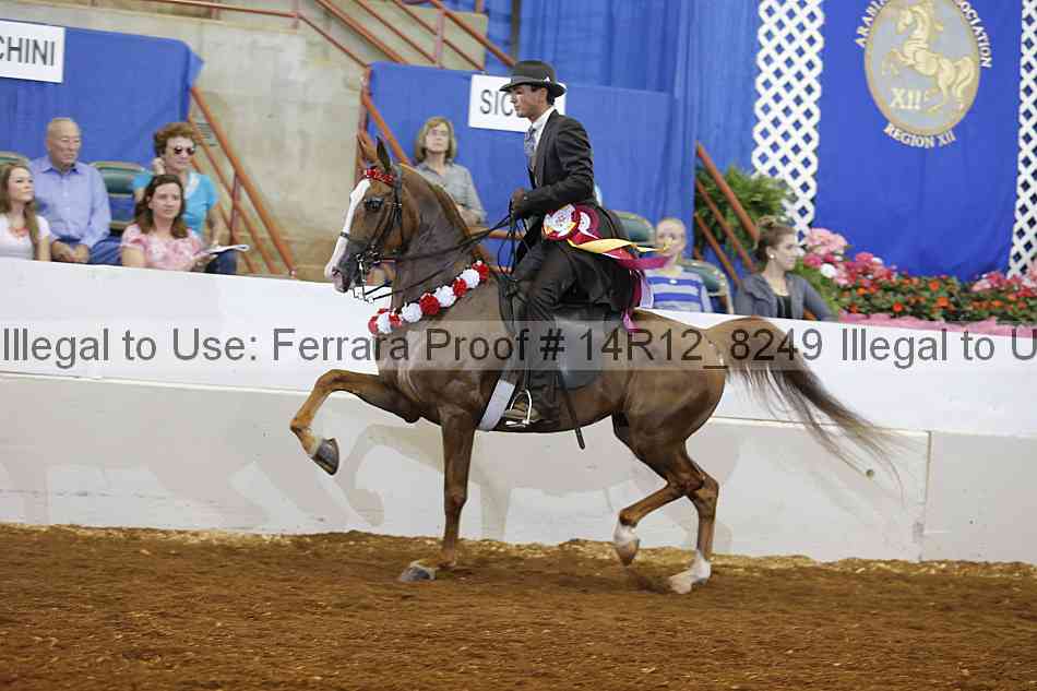 Proof Number 14r12_8249