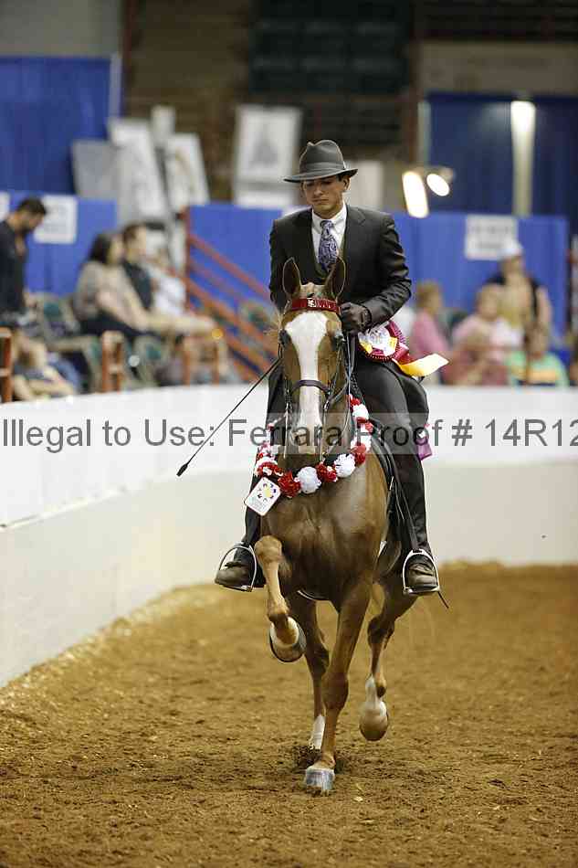Proof Number 14r12_8251