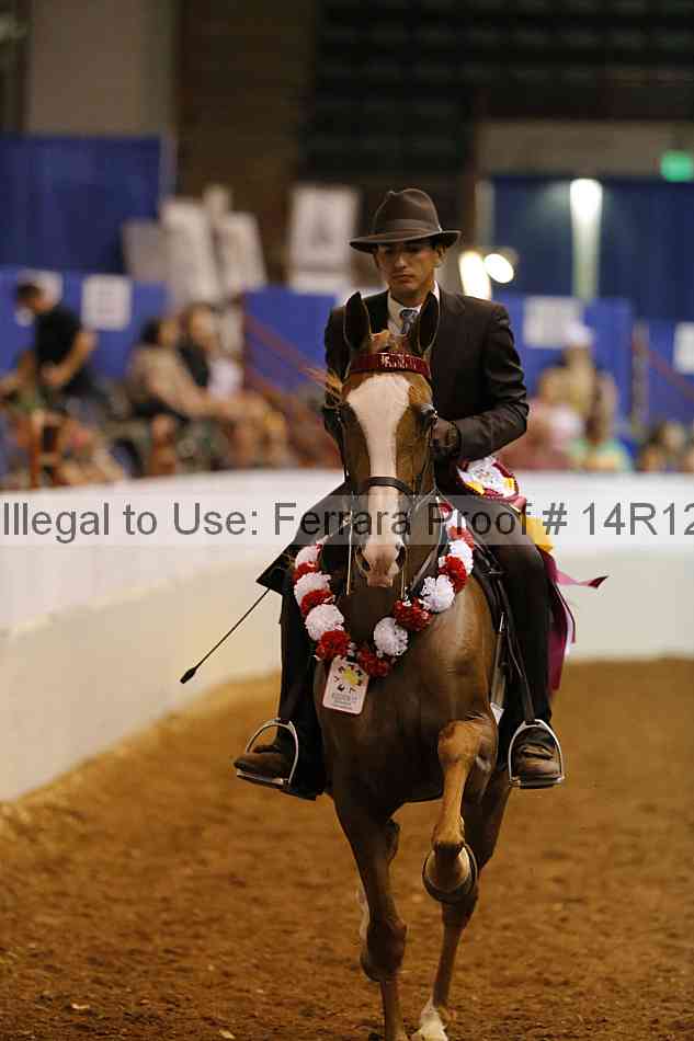 Proof Number 14r12_8252
