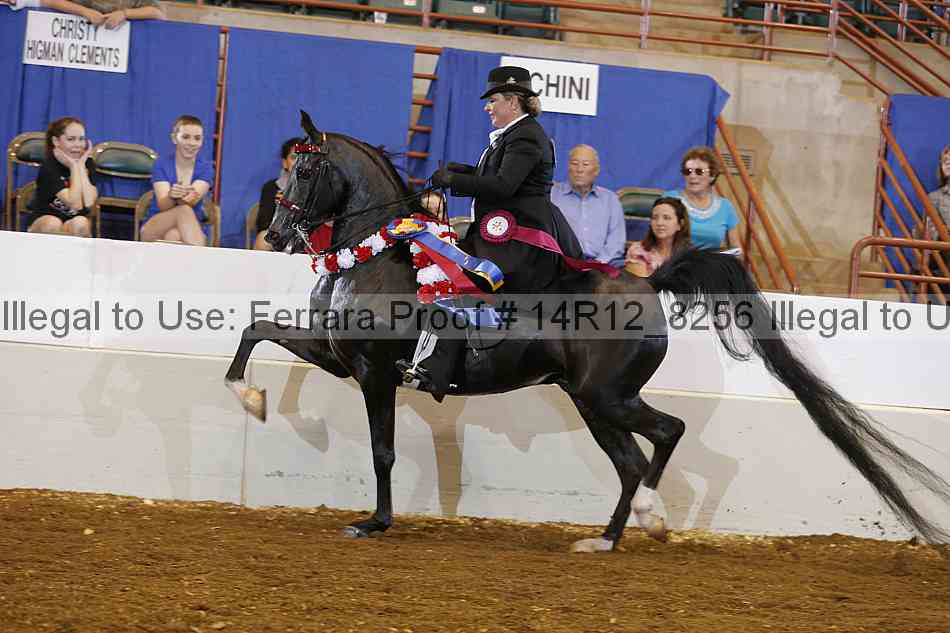 Proof Number 14r12_8256