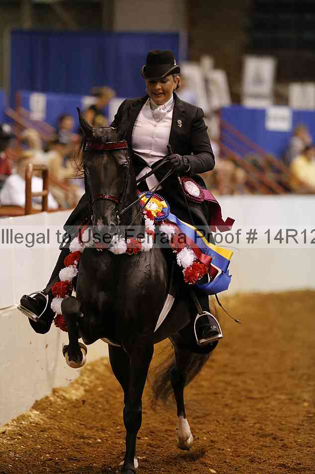 Proof Number 14r12_8259