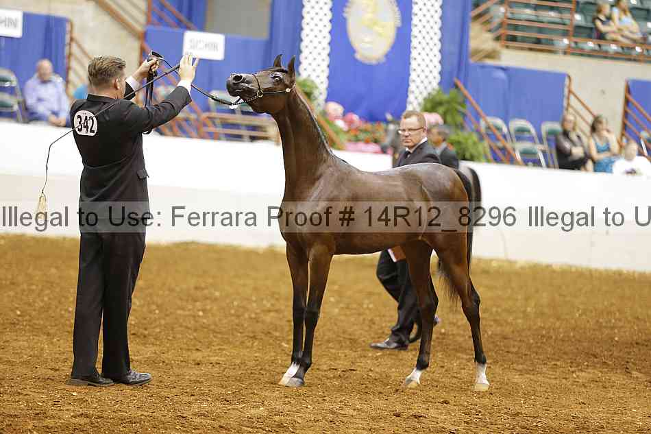 Proof Number 14r12_8296