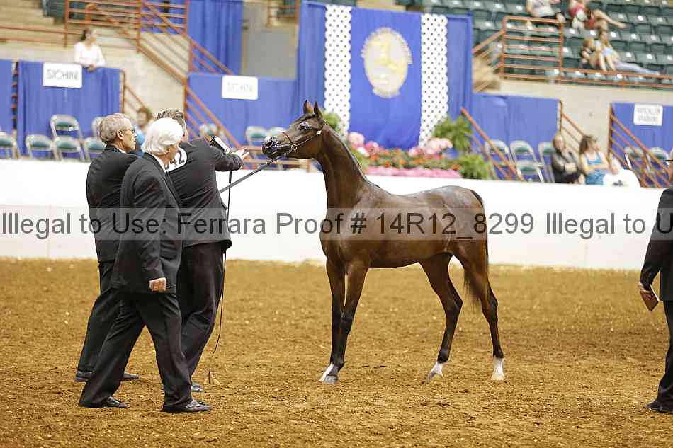 Proof Number 14r12_8299