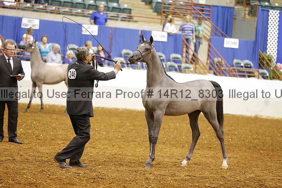 Proof Number 14r12_8303