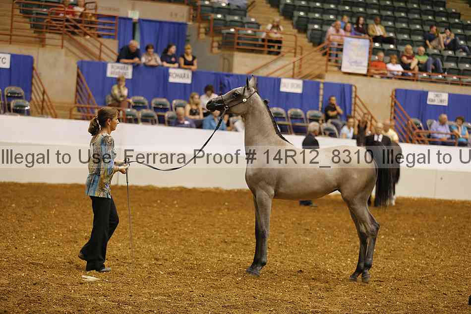 Proof Number 14r12_8310
