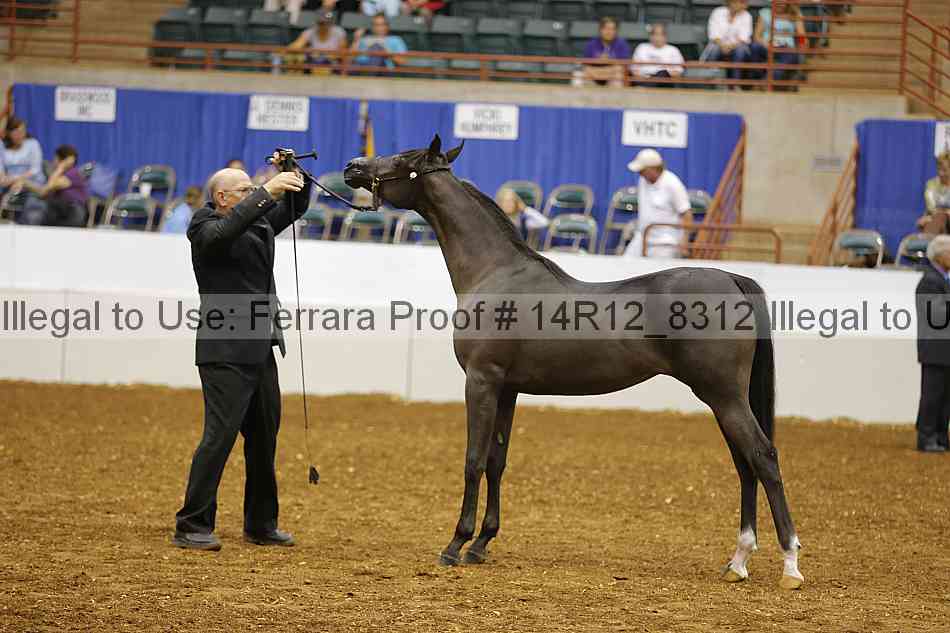 Proof Number 14r12_8312