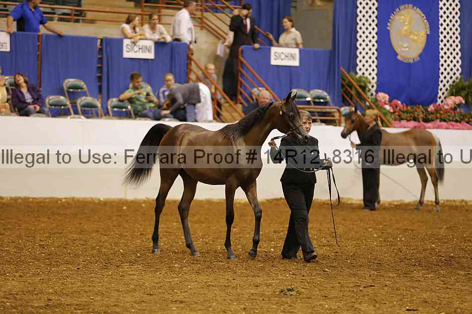 Proof Number 14r12_8316