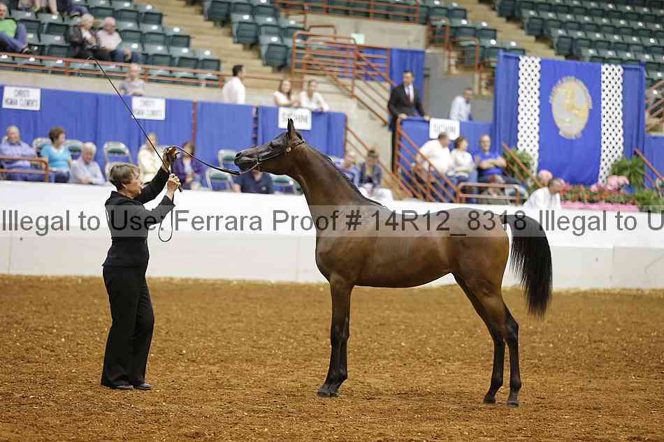 Proof Number 14r12_8318