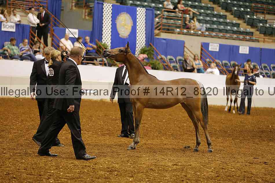 Proof Number 14r12_8320