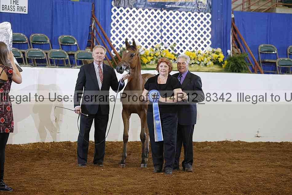 Proof Number 14r12_8342