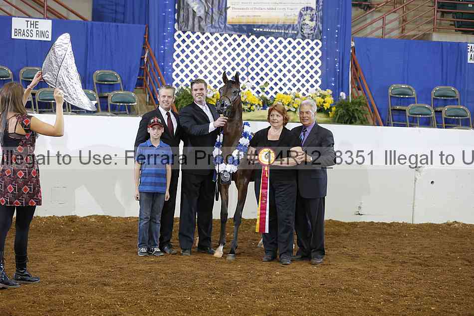 Proof Number 14r12_8351