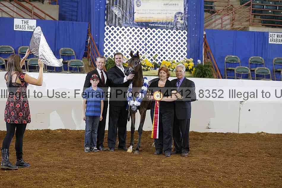 Proof Number 14r12_8352