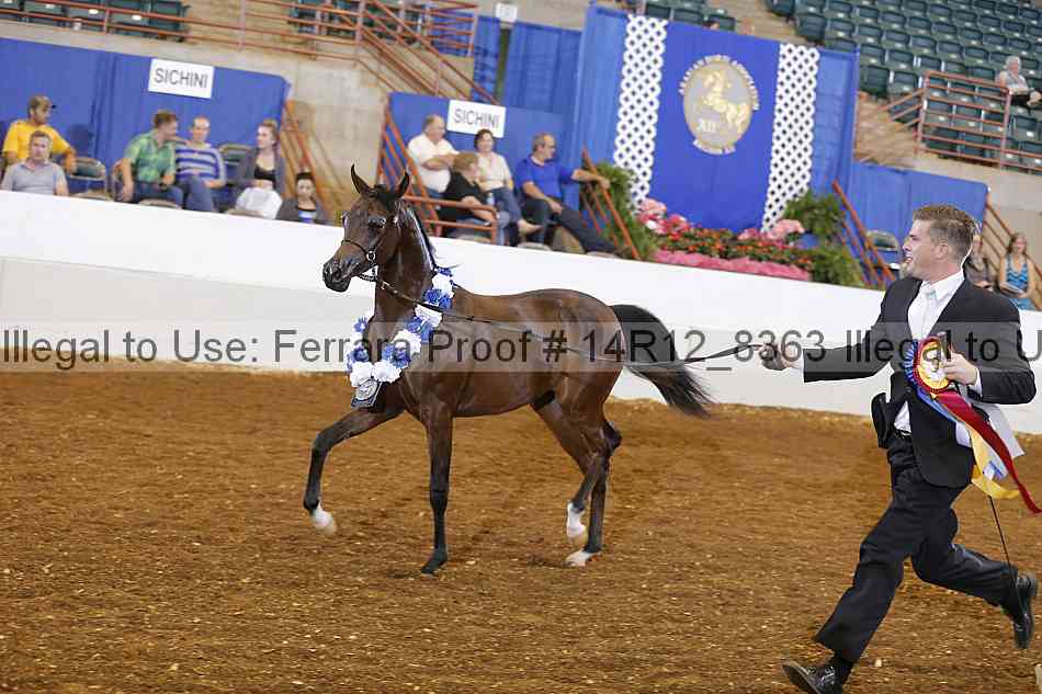 Proof Number 14r12_8363