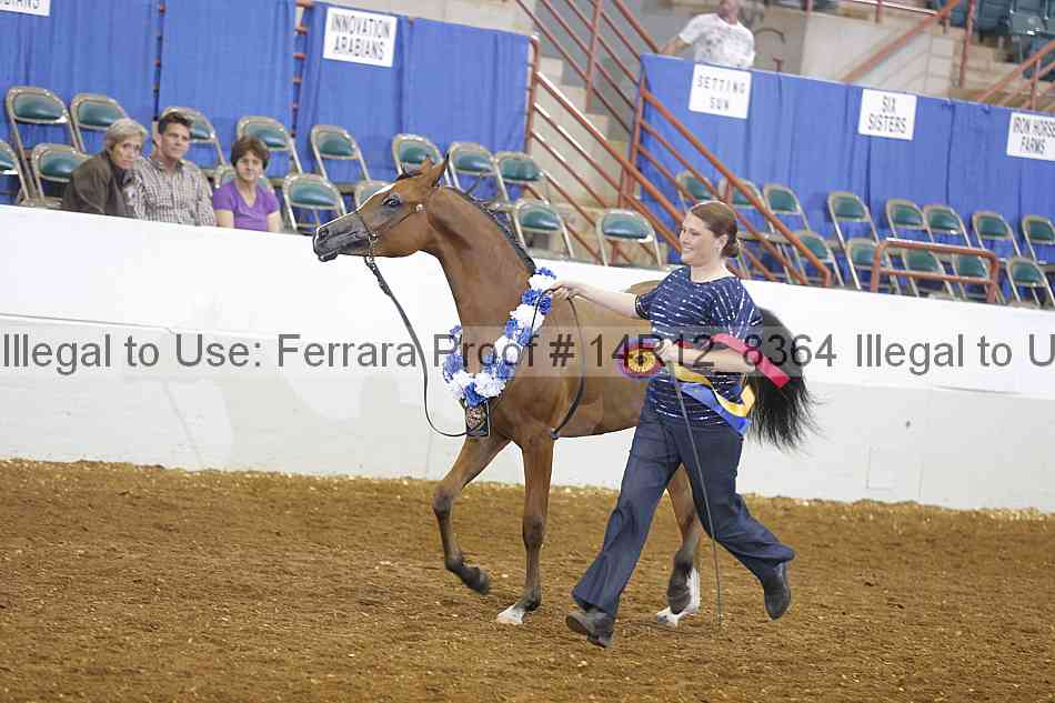 Proof Number 14r12_8364