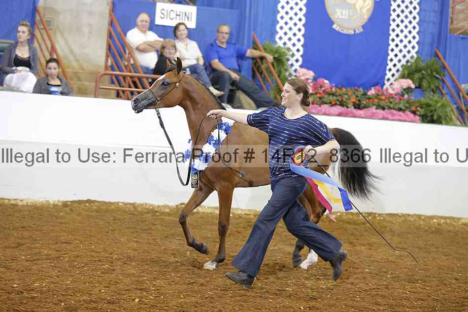 Proof Number 14r12_8366