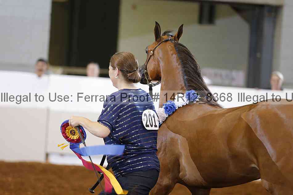 Proof Number 14r12_8368