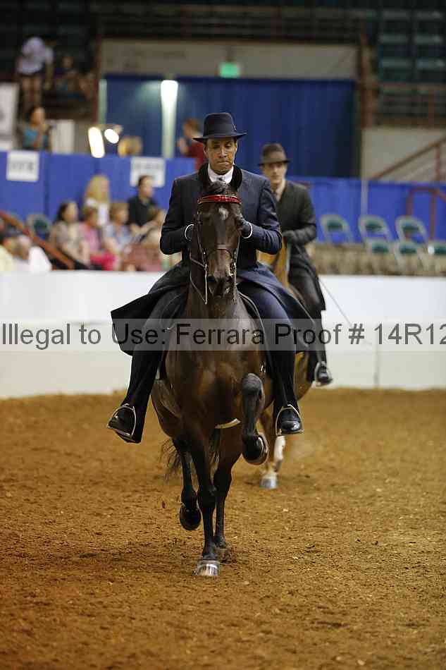 Proof Number 14r12_8377