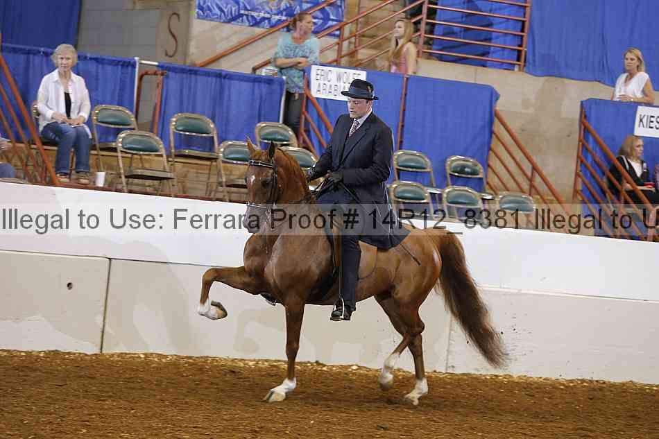 Proof Number 14r12_8381