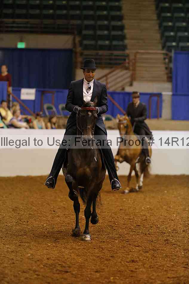 Proof Number 14r12_8387