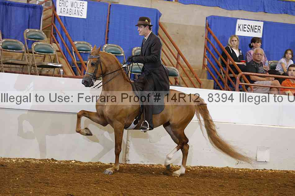 Proof Number 14r12_8394