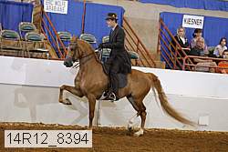14r12_8394 thumbnail