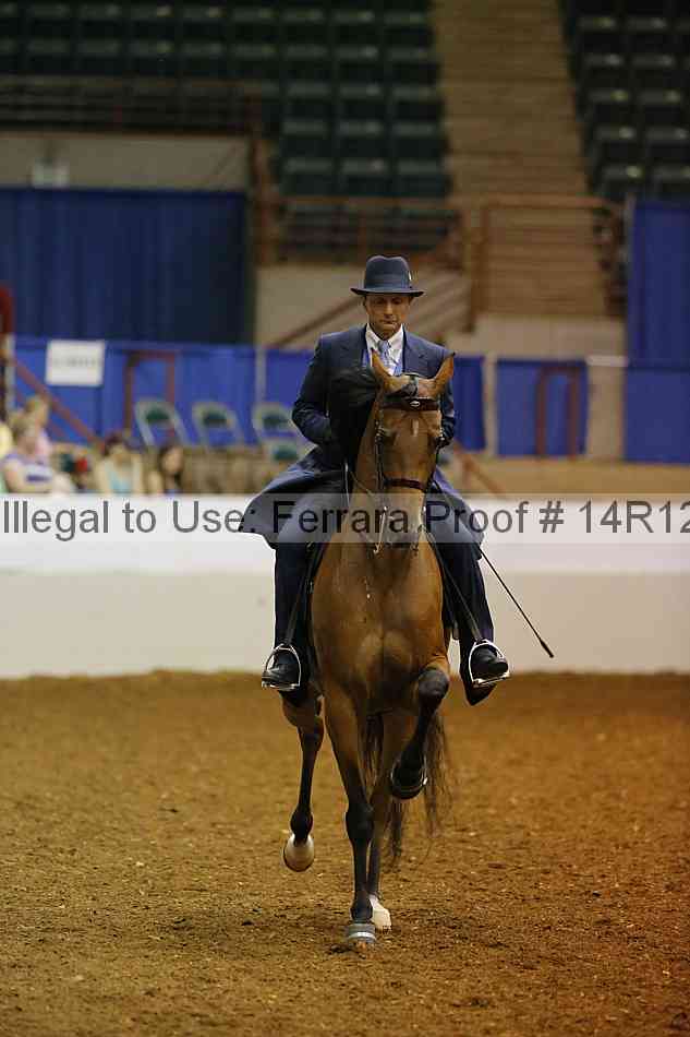 Proof Number 14r12_8395